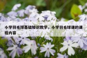 小学羽毛球基础知识教学，小学羽毛球课的课程内容