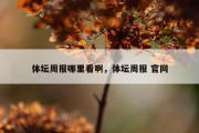 体坛周报哪里看啊，体坛周报 官网