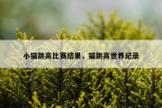 小猫跳高比赛结果，猫跳高世界纪录