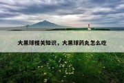 大黑球相关知识，大黑球药丸怎么吃