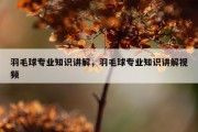 羽毛球专业知识讲解，羽毛球专业知识讲解视频