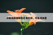 印象城英雄联盟比赛时间，印象城体量