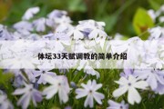 体坛33天赋调教的简单介绍