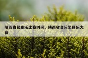 陕西省级器乐比赛时间，陕西省音乐奖器乐大赛