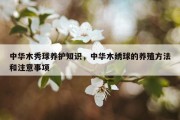 中华木秀球养护知识，中华木绣球的养殖方法和注意事项