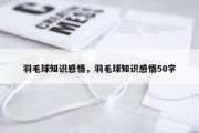 羽毛球知识感悟，羽毛球知识感悟50字