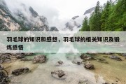 羽毛球的知识和感想，羽毛球的相关知识及锻炼感悟