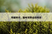 球趣知识，趣味球类运动项目