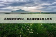 乒乓球的旋球知识，乒乓球旋球是什么意思
