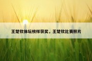 王楚钦体坛榜样获奖，王楚钦比赛照片