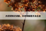 内切球知识讲解，内切球解题方法总结