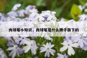 肉球笔小知识，肉球笔是什么牌子旗下的