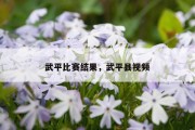 武平比赛结果，武平县视频