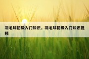 羽毛球初级入门知识，羽毛球初级入门知识视频