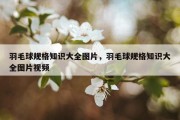 羽毛球规格知识大全图片，羽毛球规格知识大全图片视频
