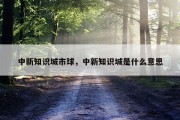 中新知识城市球，中新知识城是什么意思