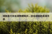球拍击打羽毛球物理知识，羽毛球拍的击球手感