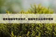 健身蹦蹦球专业知识，蹦蹦球怎么玩初学视频