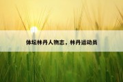 体坛林丹人物志，林丹运动员