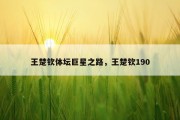 王楚钦体坛巨星之路，王楚钦190