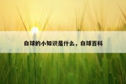 白球的小知识是什么，白球百科