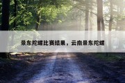 景东陀螺比赛结果，云南景东陀螺
