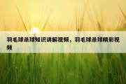 羽毛球杀球知识讲解视频，羽毛球杀球精彩视频