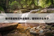 键球基础知识大全图片，键球长什么样子