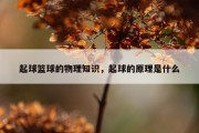 起球篮球的物理知识，起球的原理是什么
