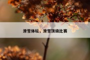 滑雪体坛，滑雪顶级比赛