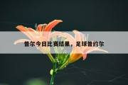 普尔今日比赛结果，足球普约尔