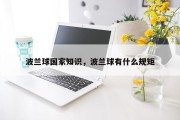 波兰球国家知识，波兰球有什么规矩