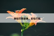 体坛打假进展，足坛打假