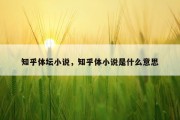 知乎体坛小说，知乎体小说是什么意思