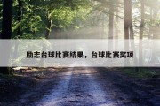 励志台球比赛结果，台球比赛奖项