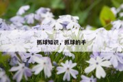 抓球知识，抓球的手