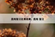 昆阳鳌江比赛结果，昆阳 鳌江