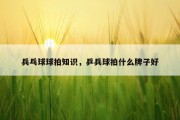 兵乓球球拍知识，乒兵球拍什么牌子好