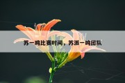 苏一鸣比赛时间，苏派一鸣团队