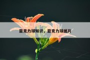 亚克力球知识，亚克力球图片