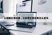 小程拳比赛结果，小程拳比赛结果怎么查询