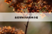自慰球知识的简单介绍