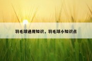 羽毛球通用知识，羽毛球小知识点