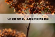 小月亮比赛结果，小月亮比赛结果查询