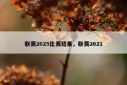 联赛2025比赛结果，联赛2021