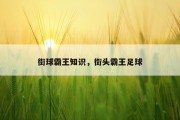 街球霸王知识，街头霸王足球