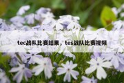 tec战队比赛结果，tes战队比赛视频