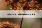 瑜伽球知识，瑜伽球的用处和用法