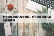 乒乓球知识技巧大全图解，乒乓球知识技巧大全图解视频