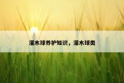 灌木球养护知识，灌木球类
